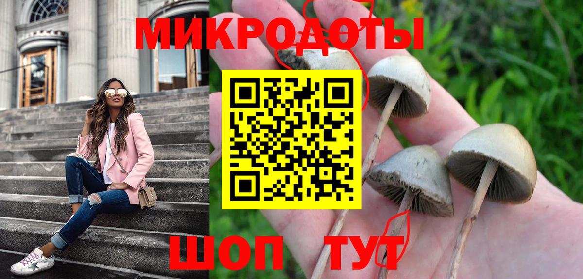 Галлюциногенные грибы мухоморы Котлас