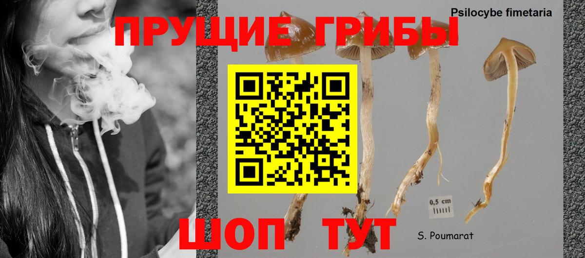 Котлас  даркнет сайт  Вход с VPN  Псилоцибиновые грибы ЛСД 